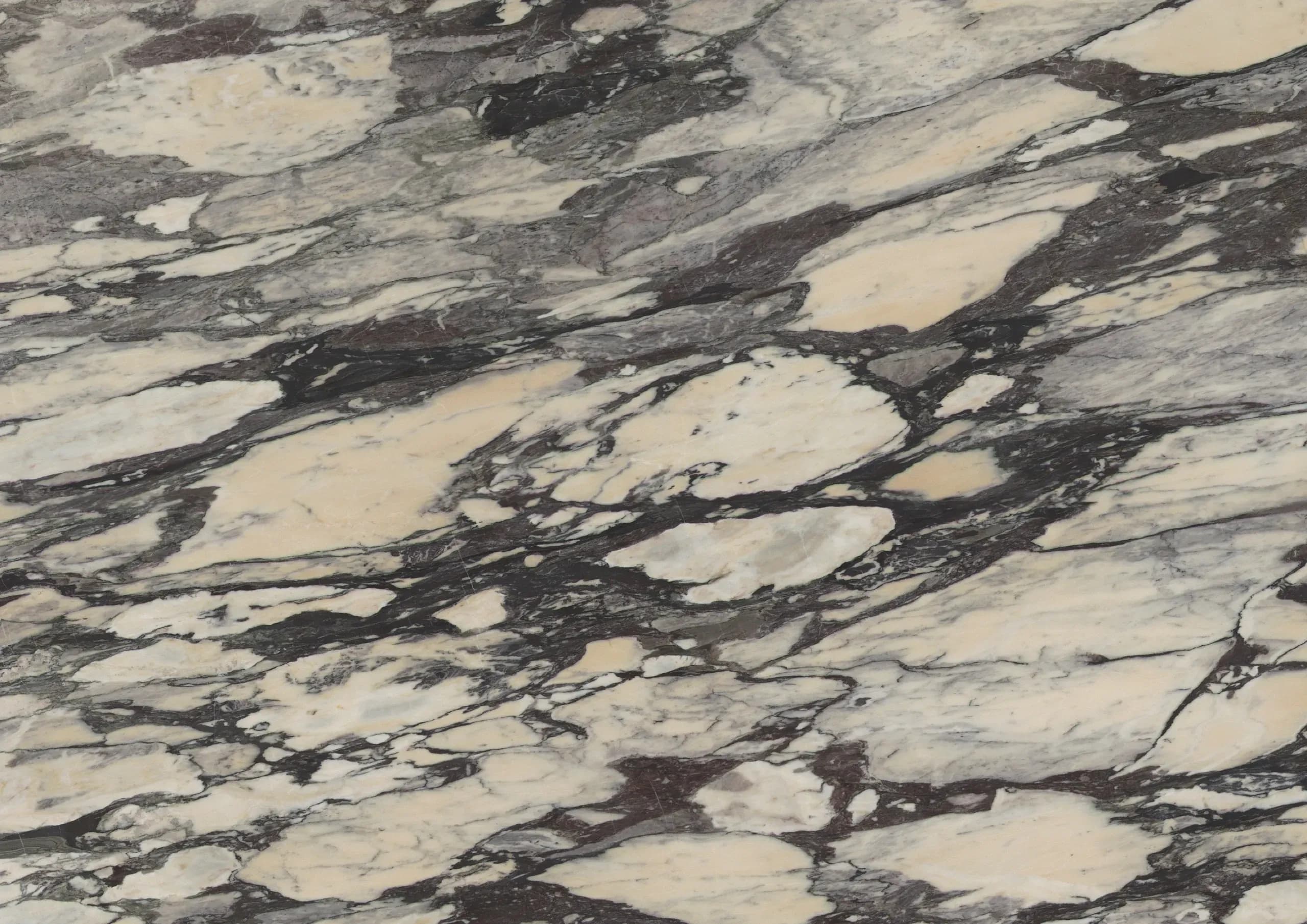 Calacatta Viola Antico, Slab, Rectangle, SLAB, Honed