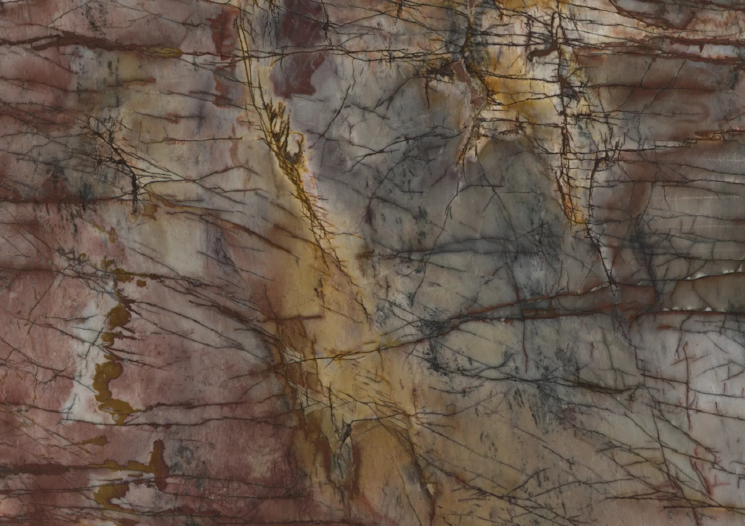 Cosmopolitan, Slab, Rectangle, SLAB, Polished