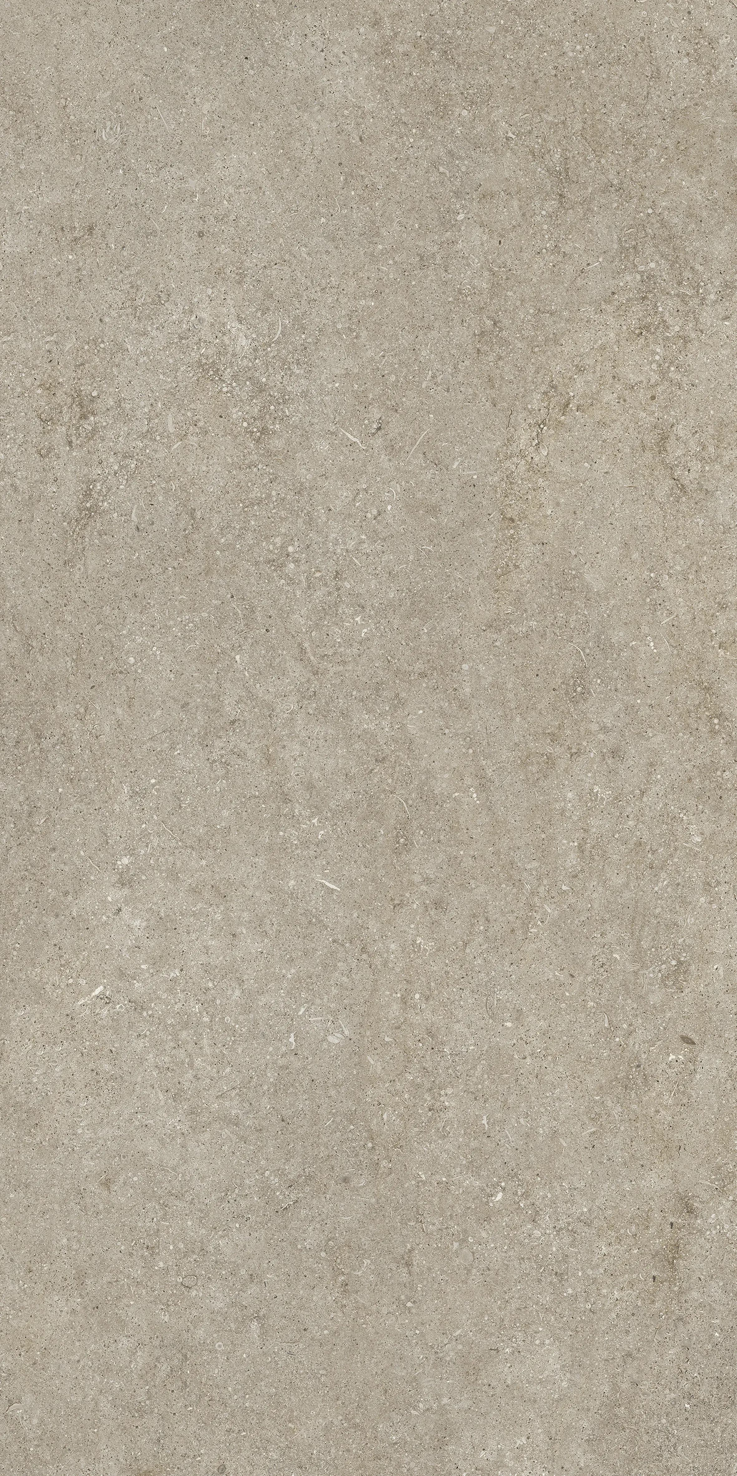 Sand Ivory, Field tile, Rectangle, 16×32, Grip
