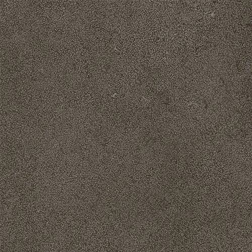 Dust Brown, Field tile, Rectangle, 16×32, Natural