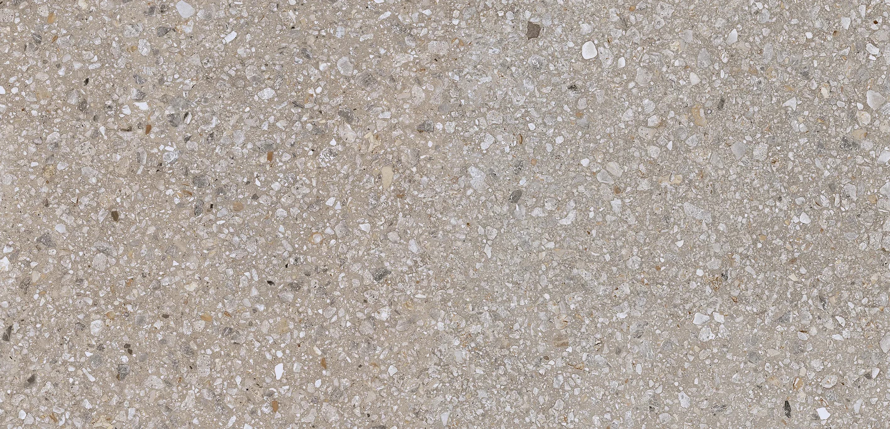 Earl Grey Mix, Field tile, Rectangle, 24×48, Grip