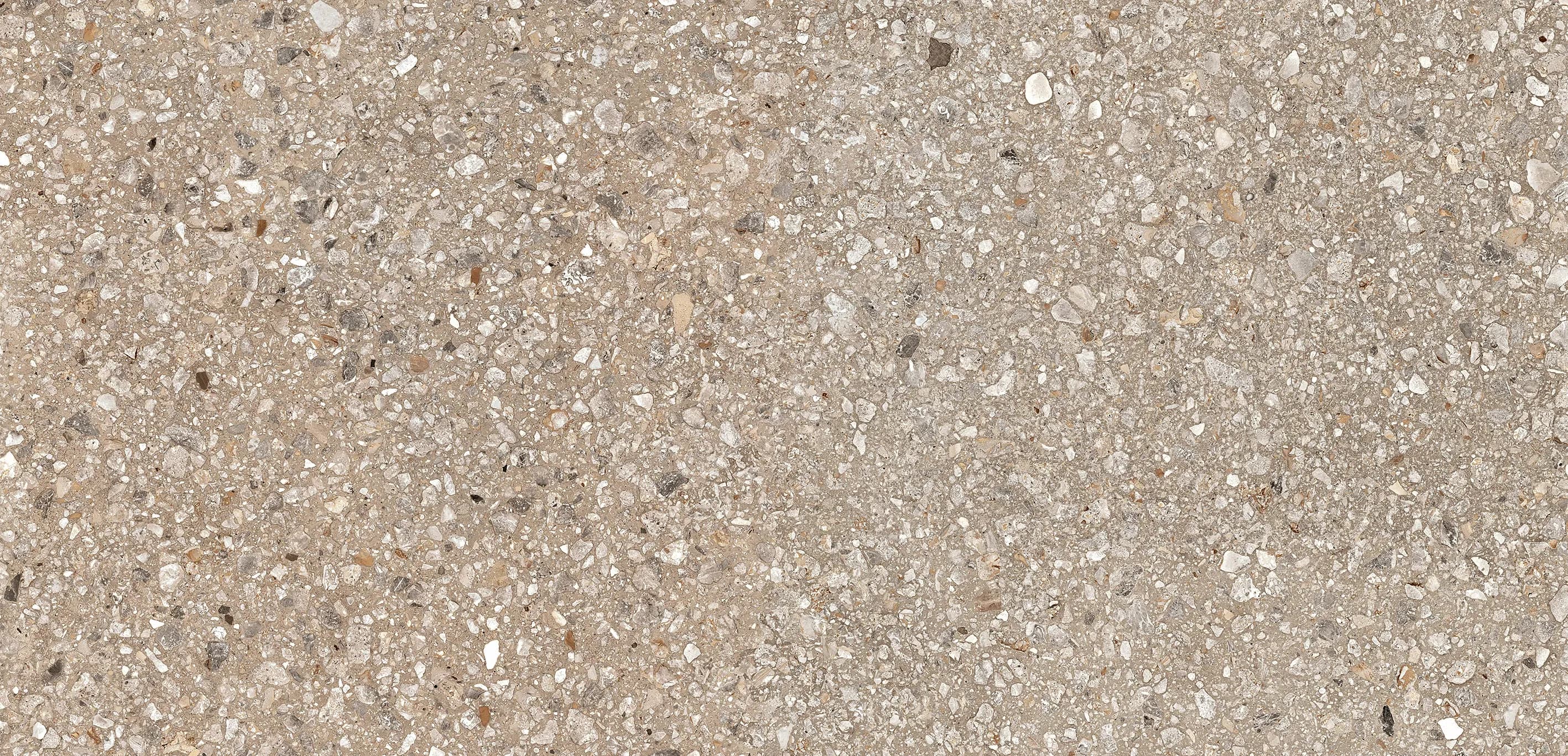 Cookie, Field tile, Rectangle, 12×24, Comfort