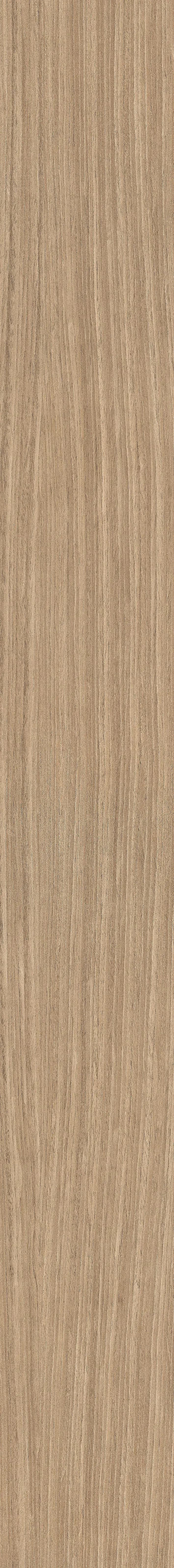 01 Plank, Field tile, Rectangle, 8×71, Matte