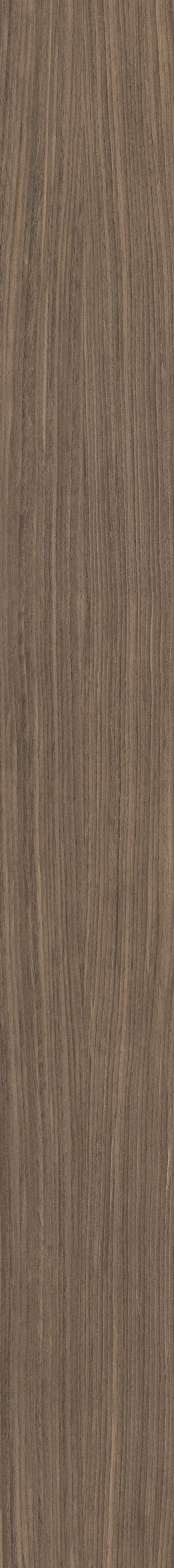 02 Plank, Field tile, Rectangle, 8×71, Matte