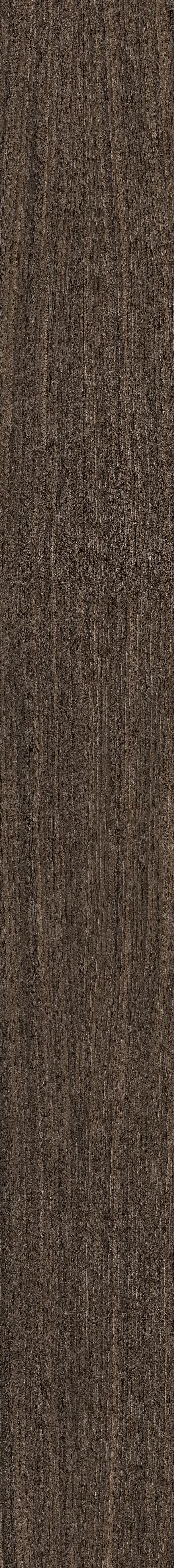 03 Plank, Field tile, Rectangle, 8×71, Matte