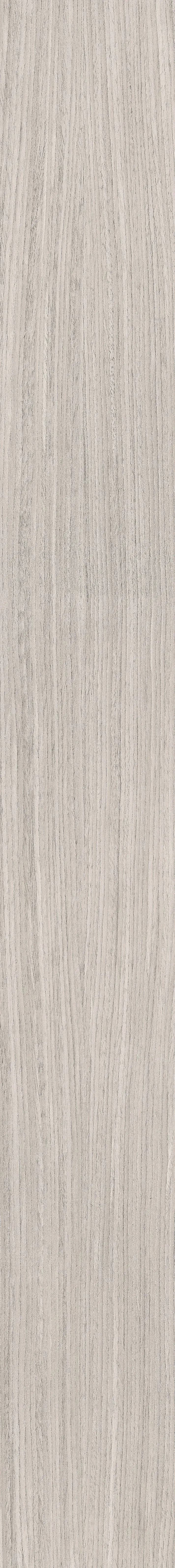 04 Plank, Field tile, Rectangle, 8×71, Matte