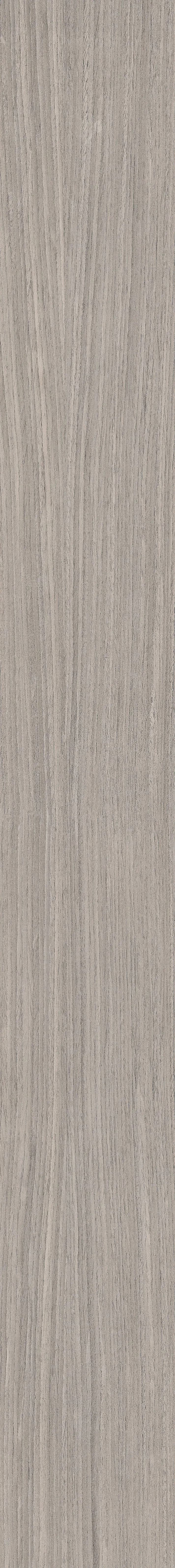 05 Plank, Field tile, Rectangle, 8×71, Matte