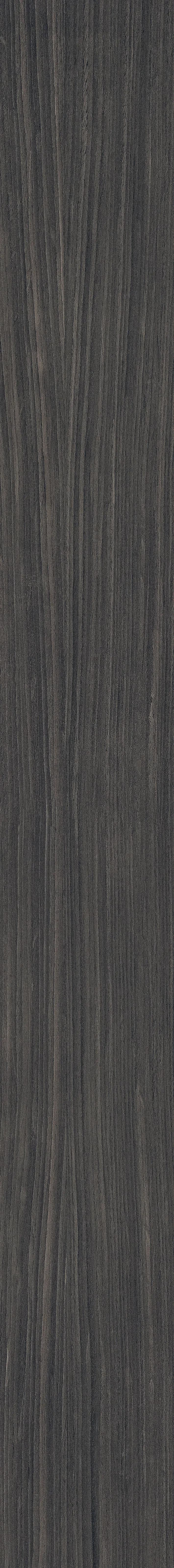 06 Plank, Field tile, Rectangle, 8×71, Matte