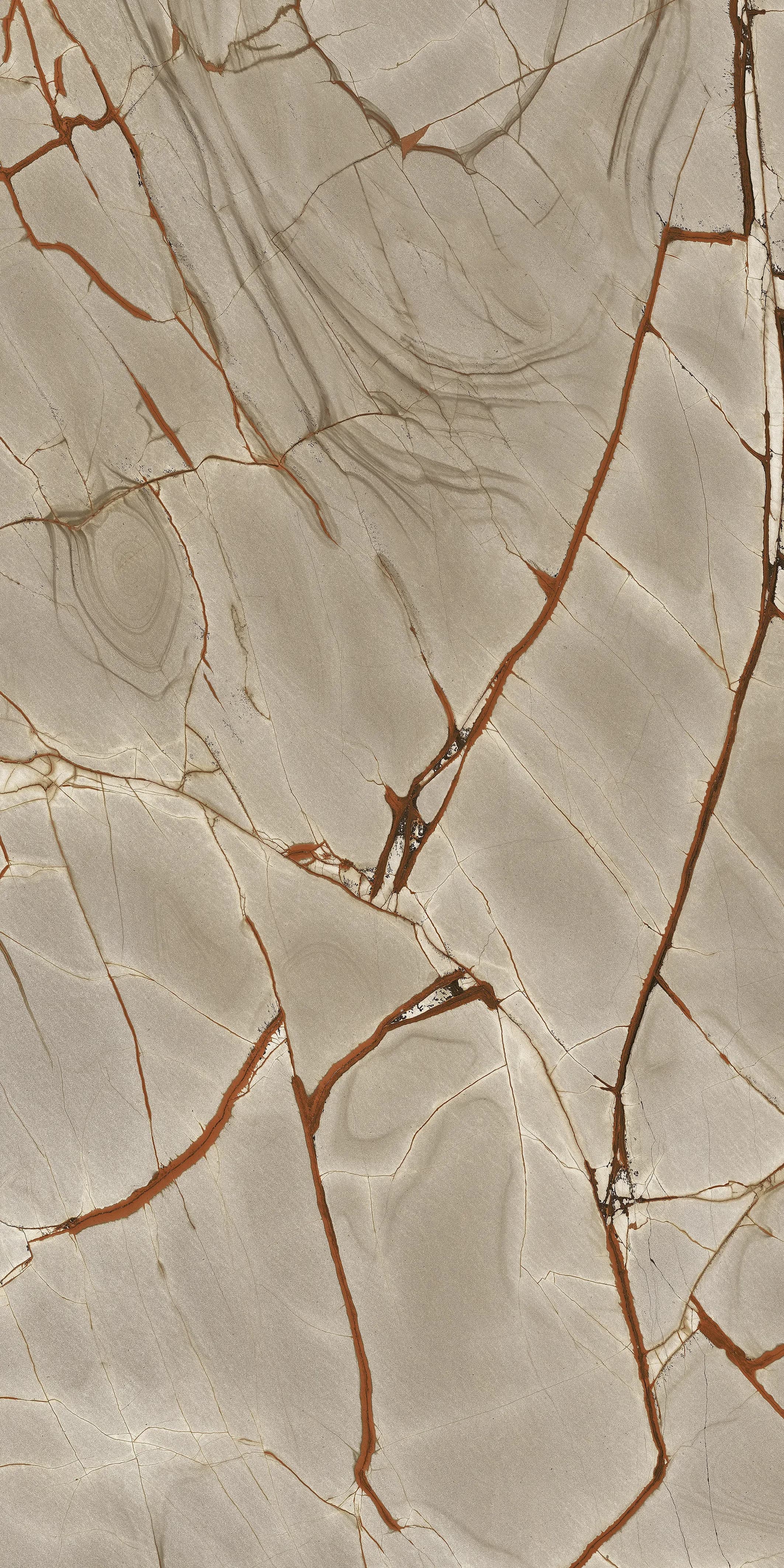Rainforest, Slab, Rectangle, 48×95, Glossy