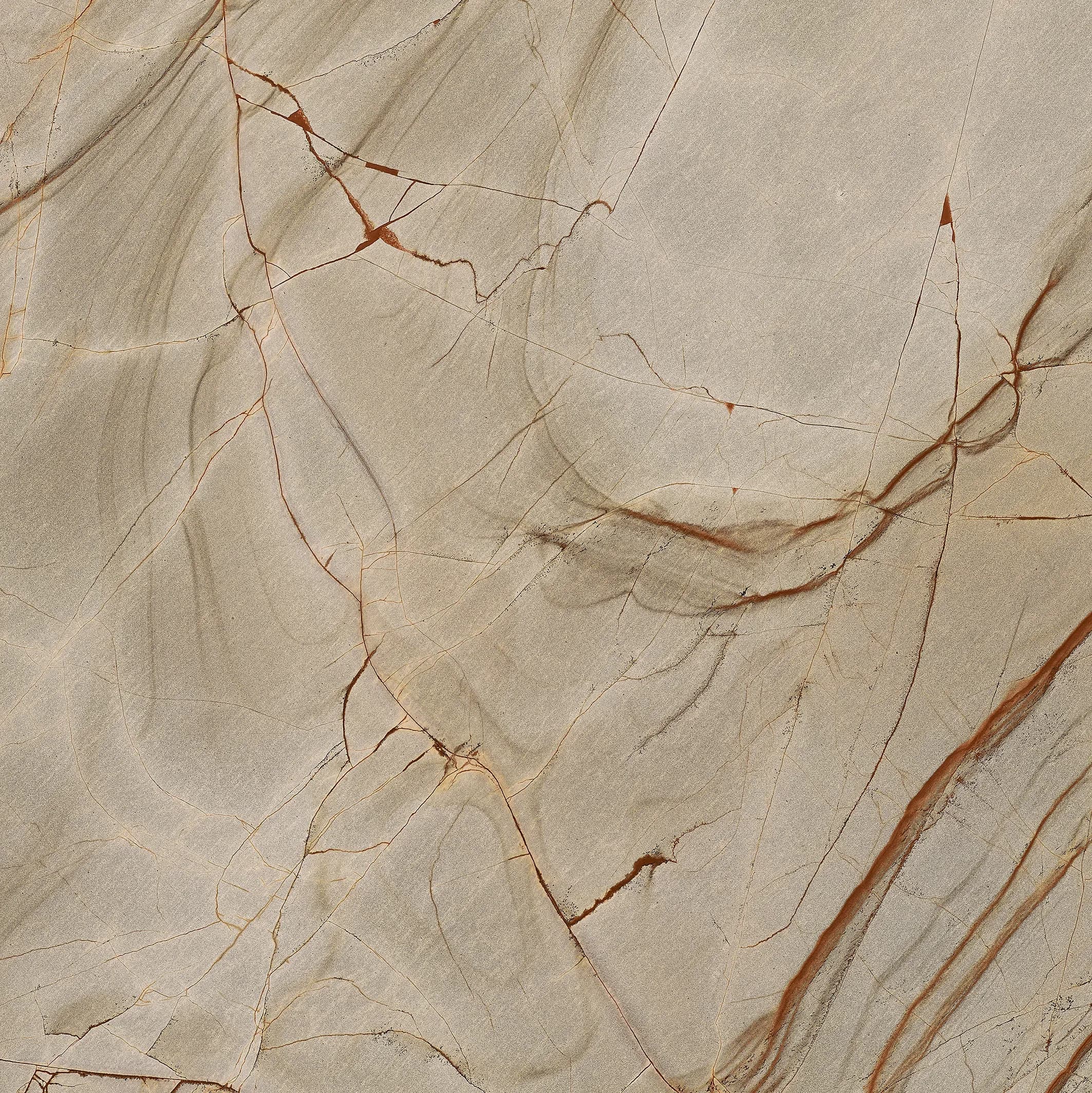 Rainforest, Slab, Square, 48×48, Glossy