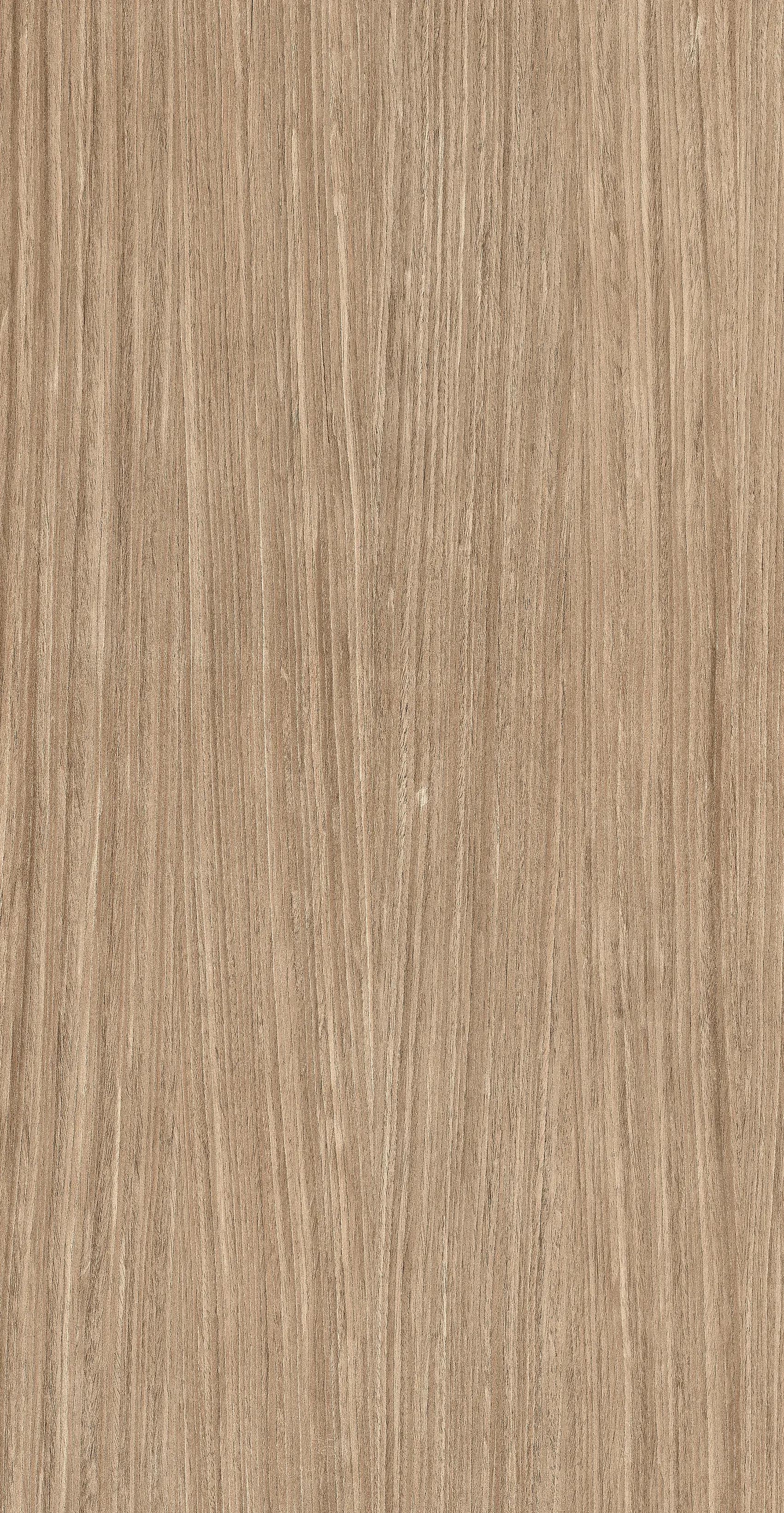 01 Plank, Field tile, Rectangle, 24×48, Matte