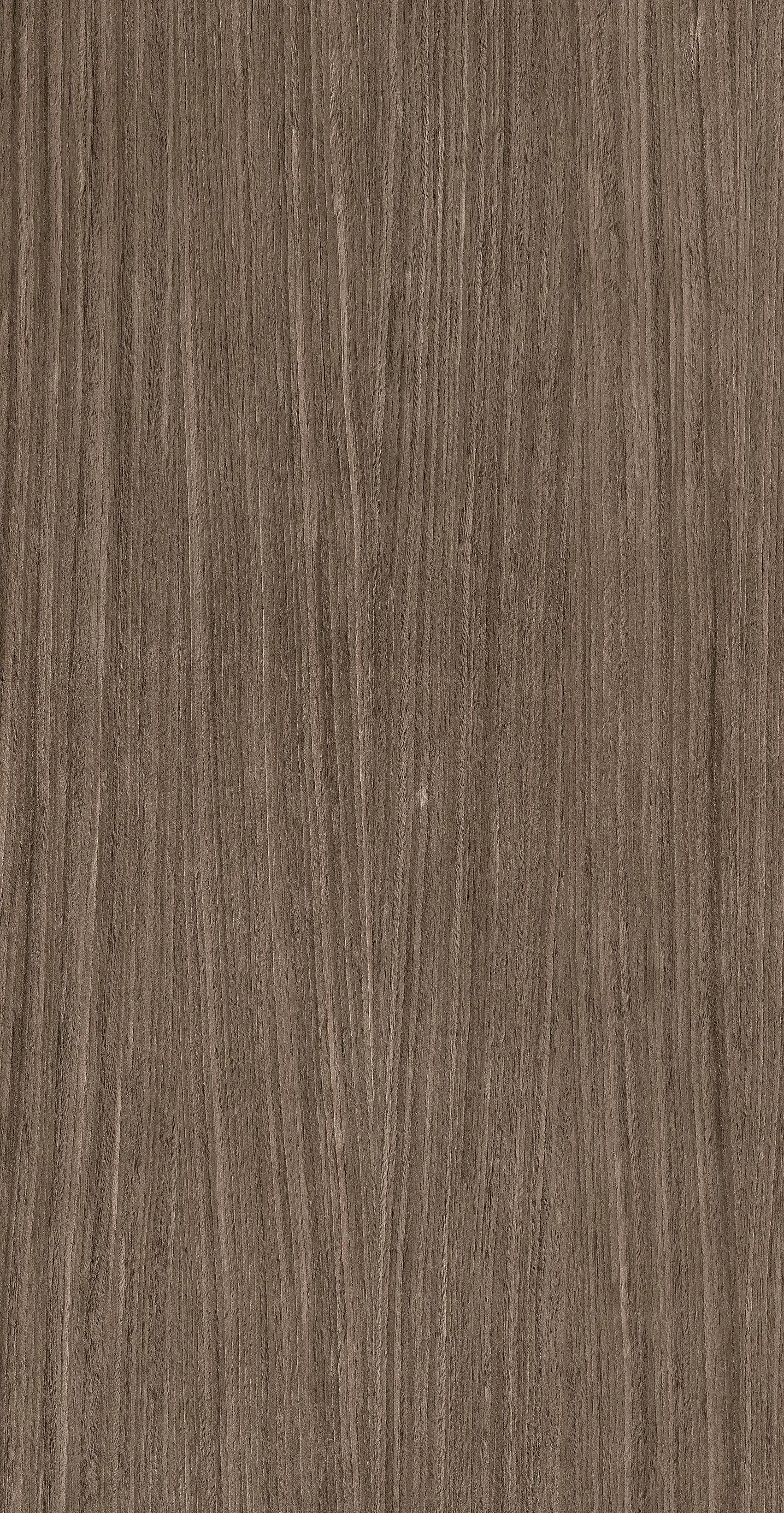 02 Plank, Field tile, Rectangle, 24×48, Matte