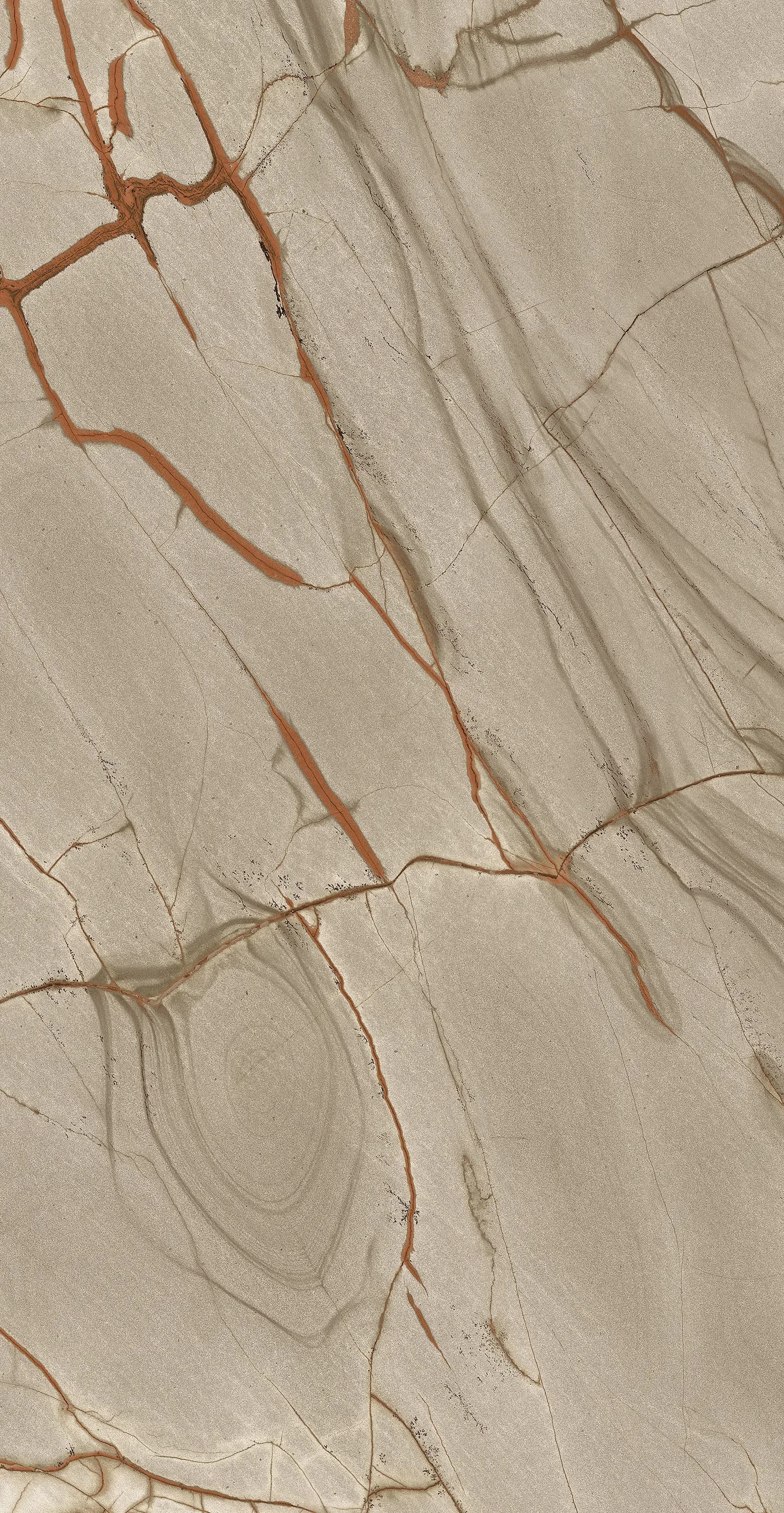 Rainforest, Field tile, Rectangle, 24×48, Matte