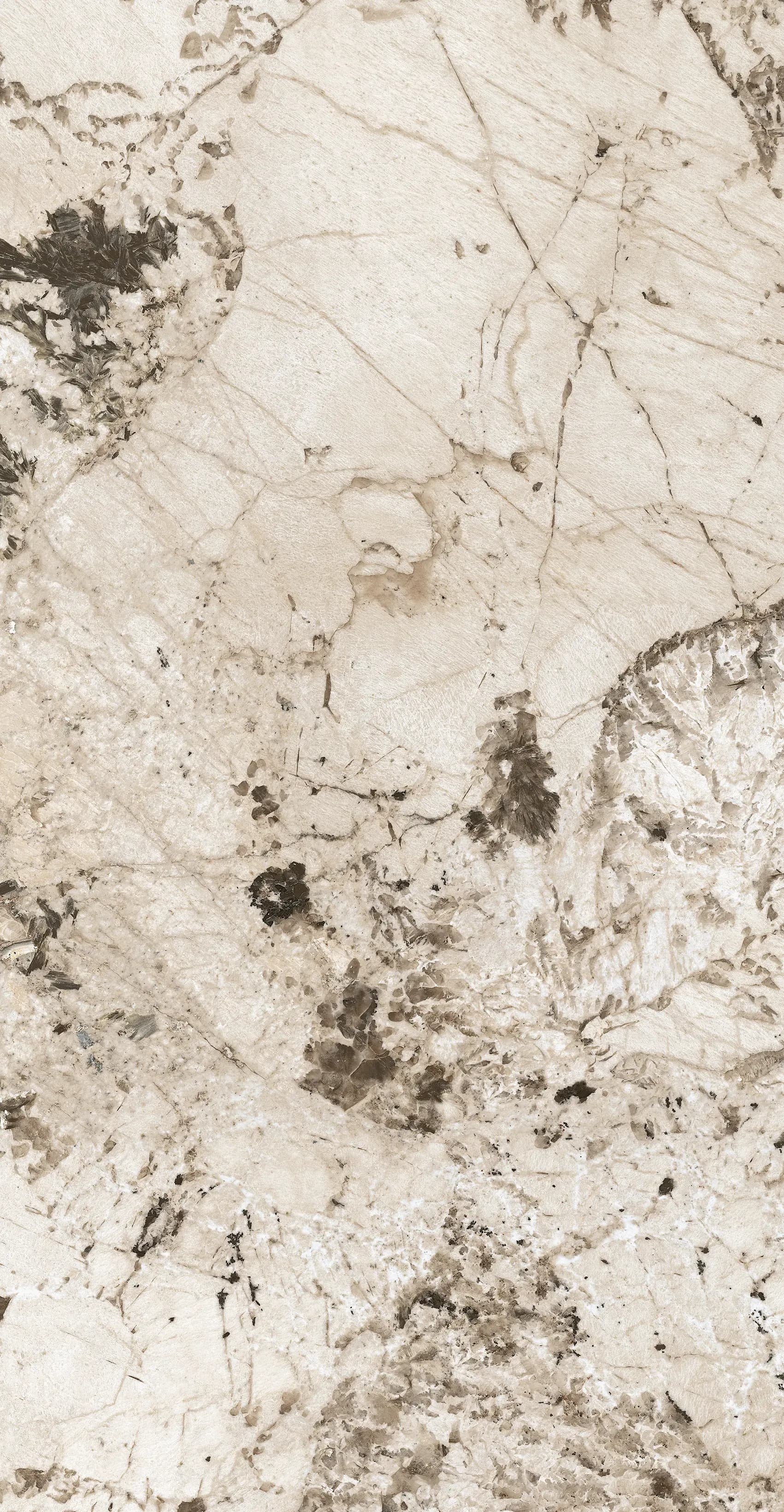 Glacier, Field tile, Rectangle, 24×48, Matte