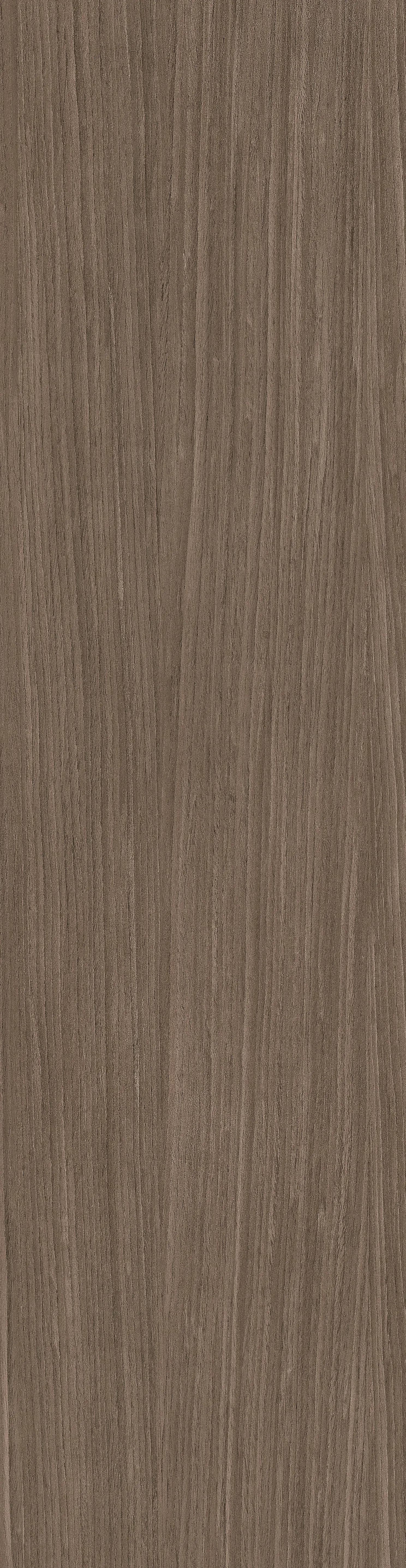 02 Plank, Field tile, Rectangle, 12×48, Structured