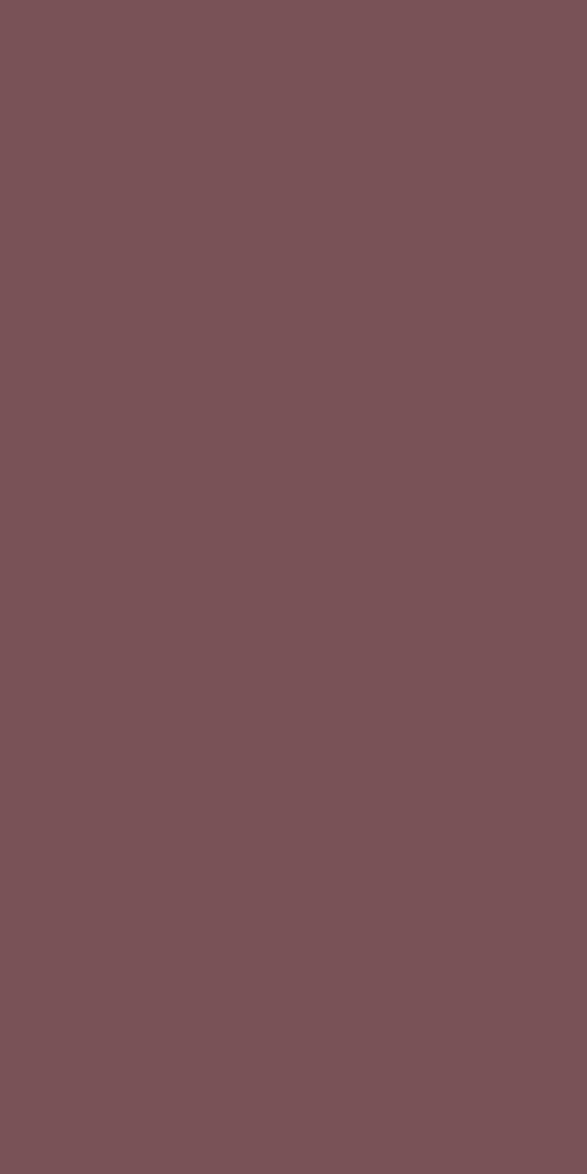 Colour Board Burgundy, Field tile, Rectangle, 24×48, Soft Touch