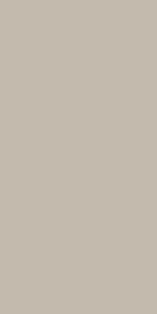 Colour Board Grey, Field tile, Rectangle, 24×48, Soft Touch