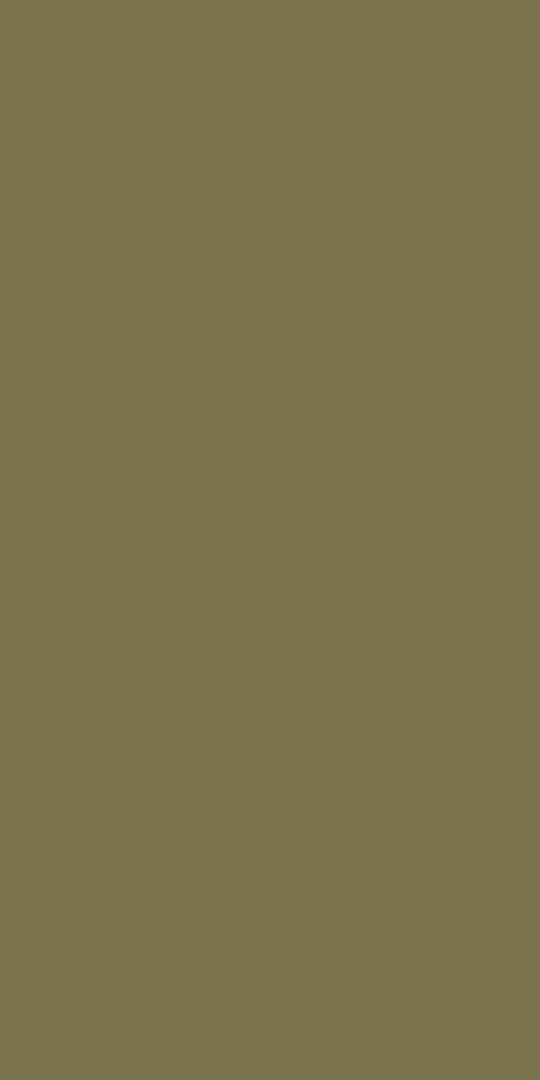 Colour Board Musk, Field tile, Rectangle, 24×48, Soft Touch