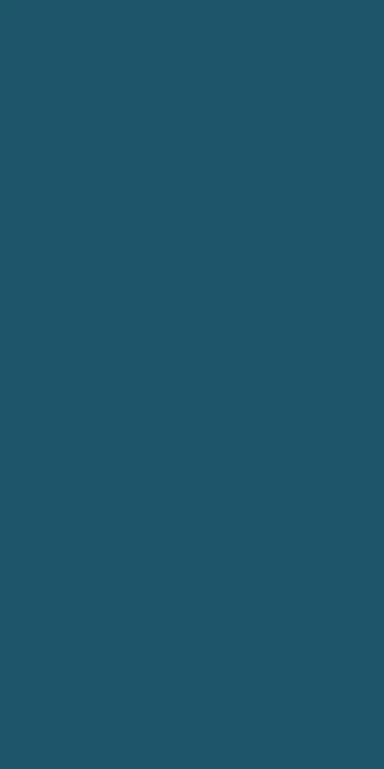 Colour Board Navy, Field tile, Rectangle, 24×48, Soft Touch