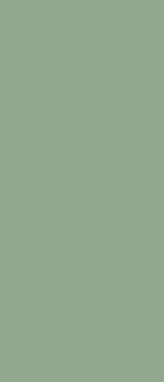 Colour Board Olive, Slab, Rectangle, 48×110, Soft Touch