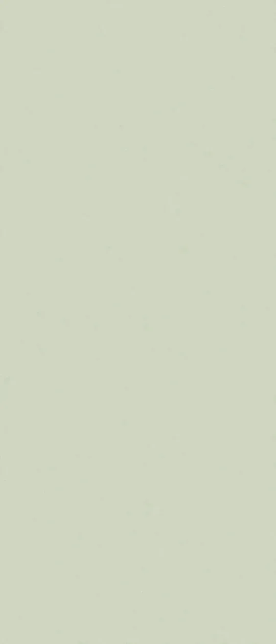 Colour Board Sage, Slab, Rectangle, 48×110, Soft Touch