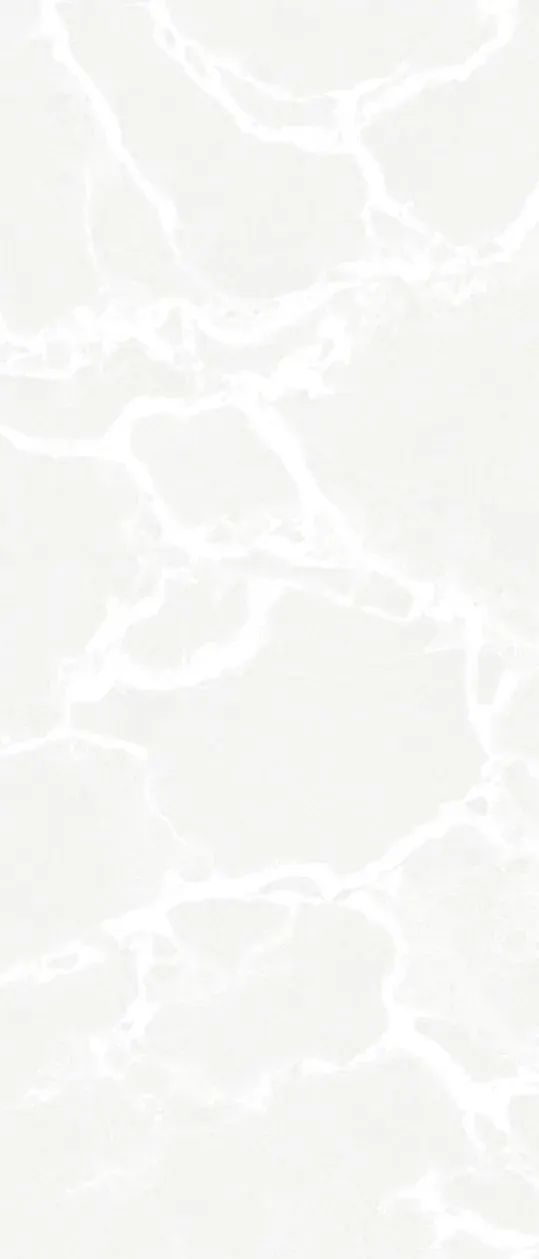 Majesty White, Slab, Rectangle, 48×110, Glossy