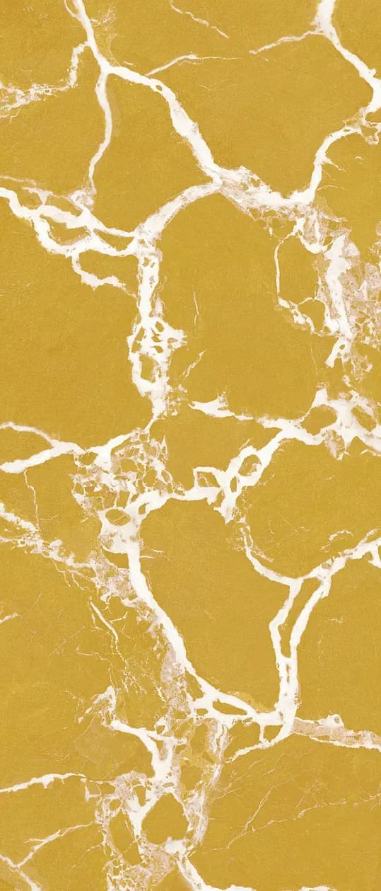 Majesty Curry, Slab, Rectangle, 48×110, Glossy