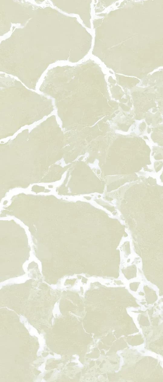 Majesty Greige, Slab, Rectangle, 48×110, Glossy