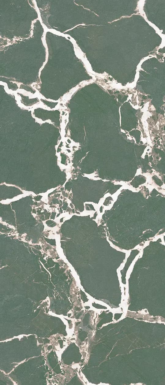 Majesty Forest, Slab, Rectangle, 48×110, Glossy