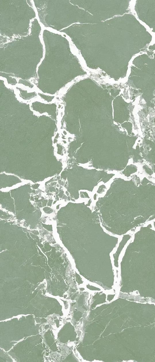 Majesty Olive, Slab, Rectangle, 48×110, Glossy