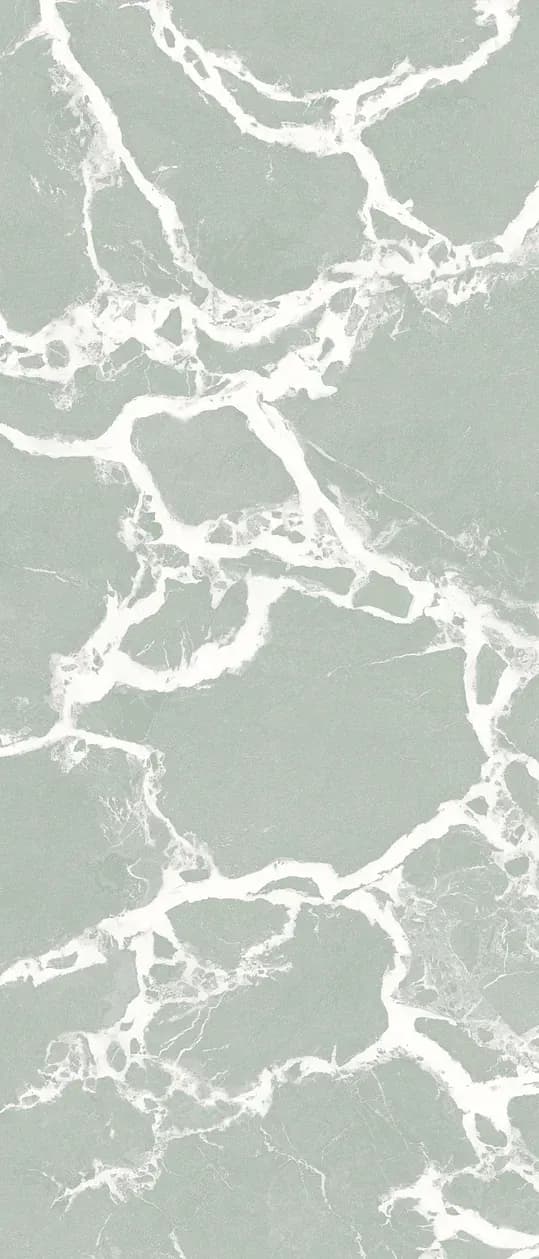 Majesty Eucalyptus, Slab, Rectangle, 48×110, Glossy