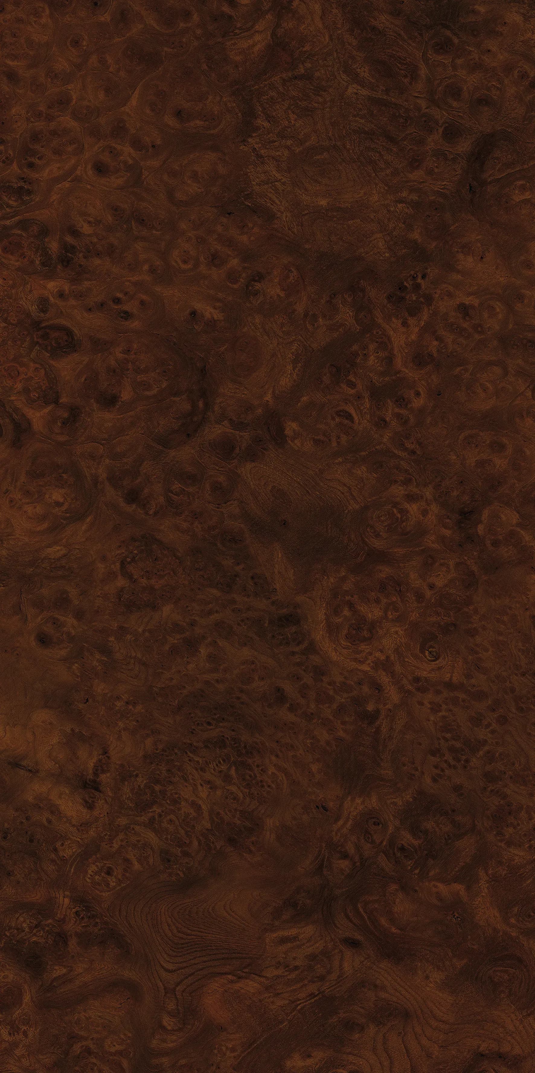 Rad Dark, Slab, Rectangle, 24×48, Glossy