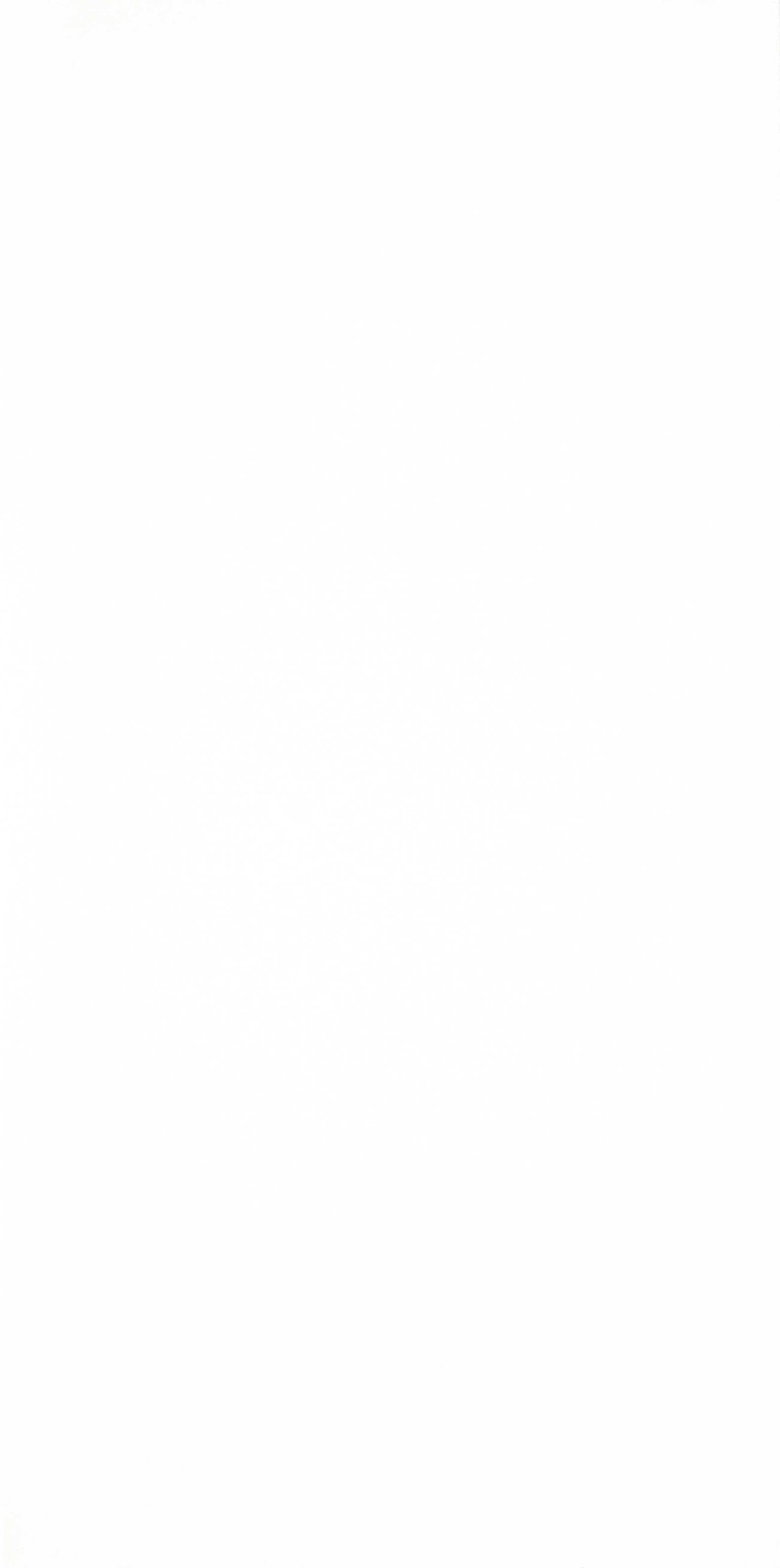 Canova, Slab, Rectangle, 63×126, Polished