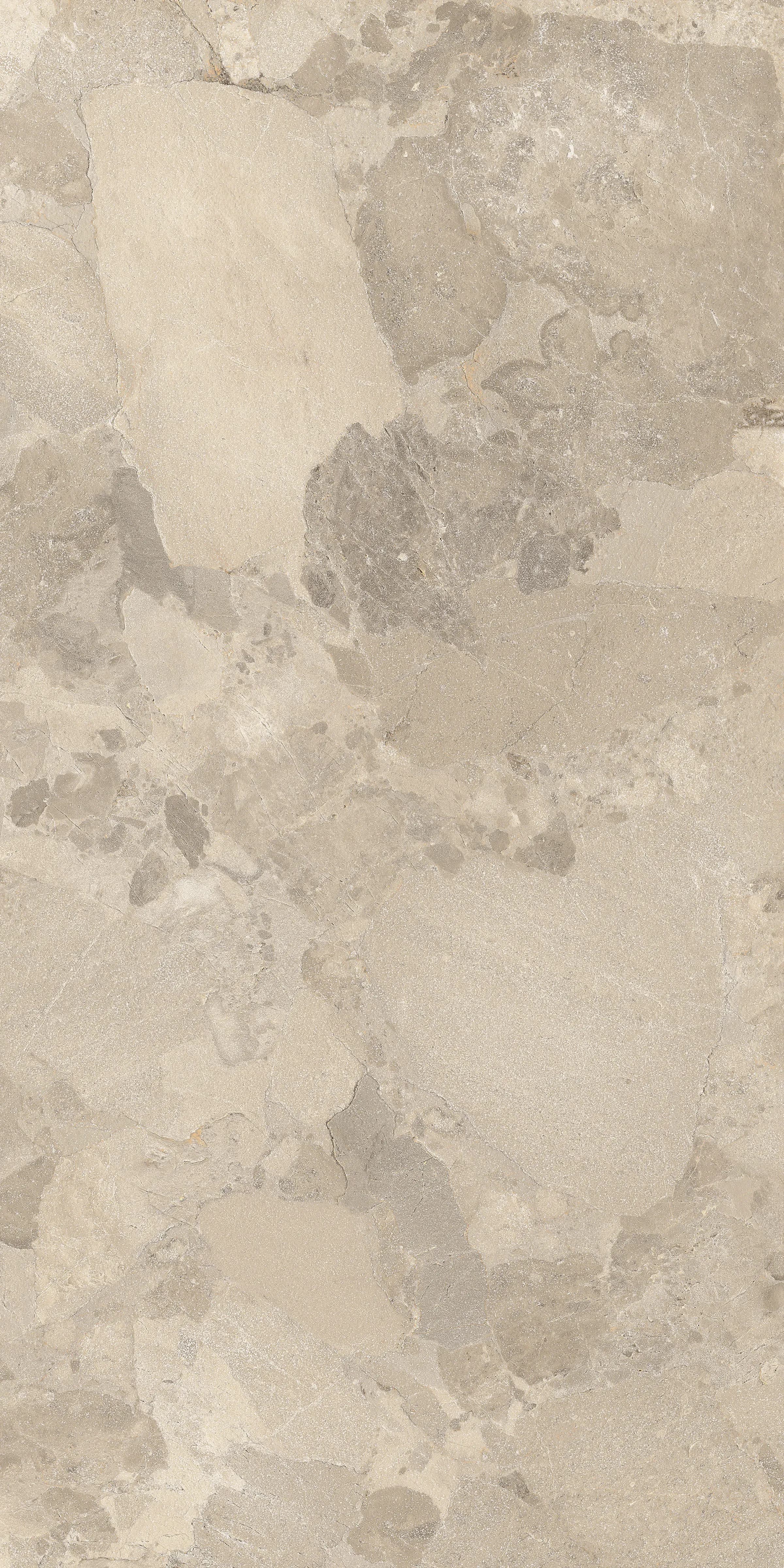 Dove grey, Field tile, Rectangle, 12×24, Natural