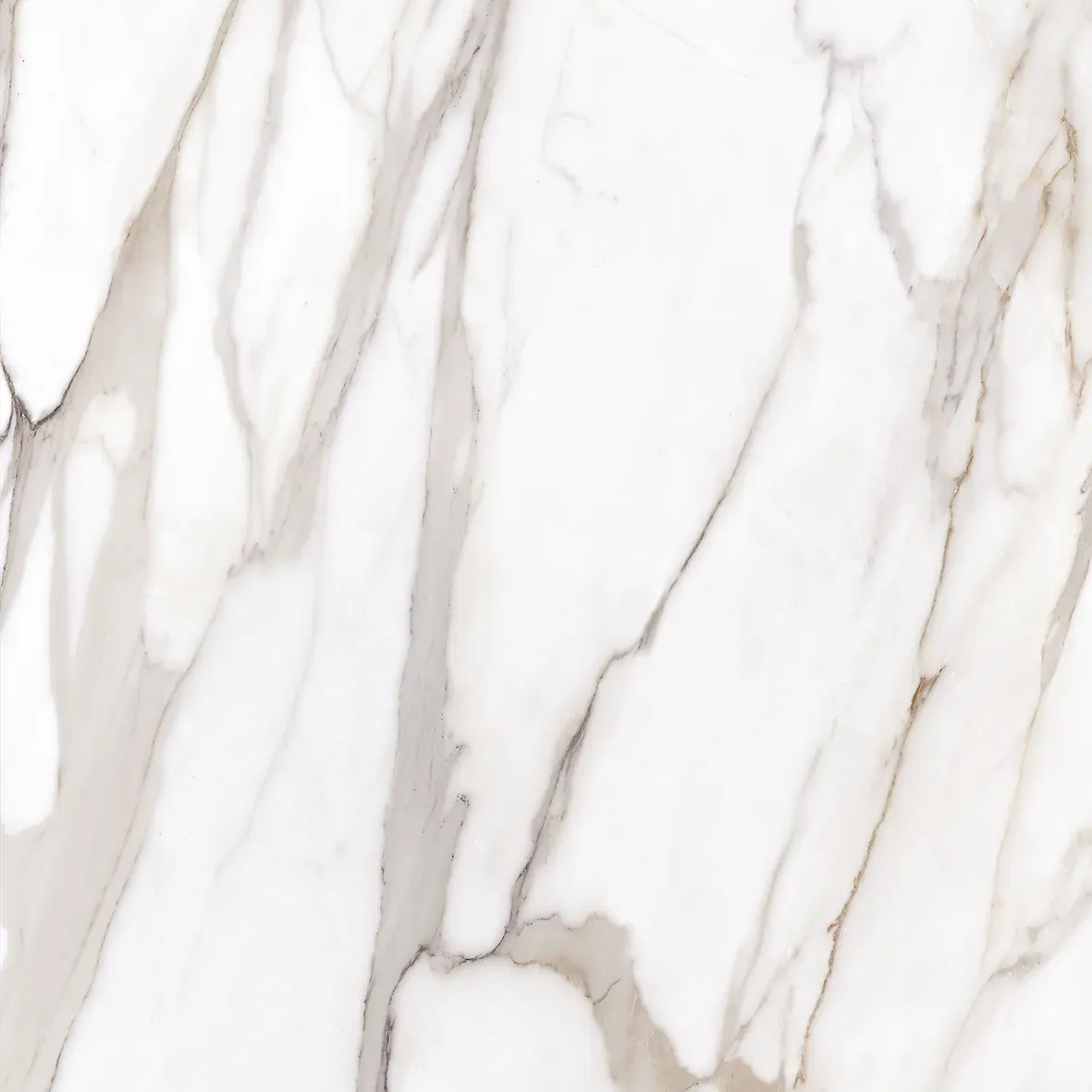 Calacatta Gold, Slab, Square, 48×110, Lappato
