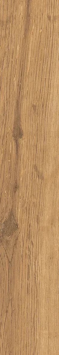 Intense Oak, Field tile, Rectangle, 2×12, Natural