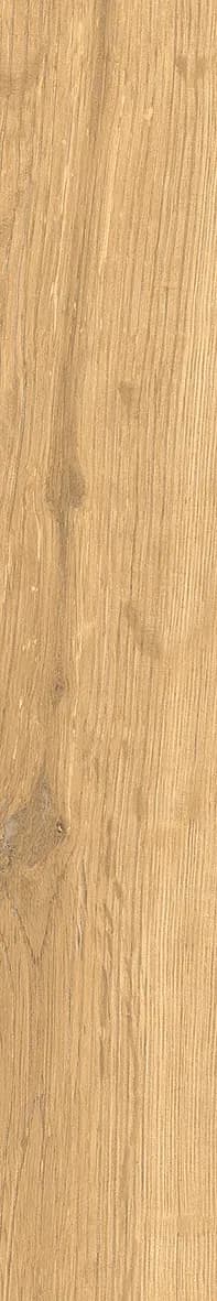 Pure Oak, Field tile, Rectangle, 2×12, Natural