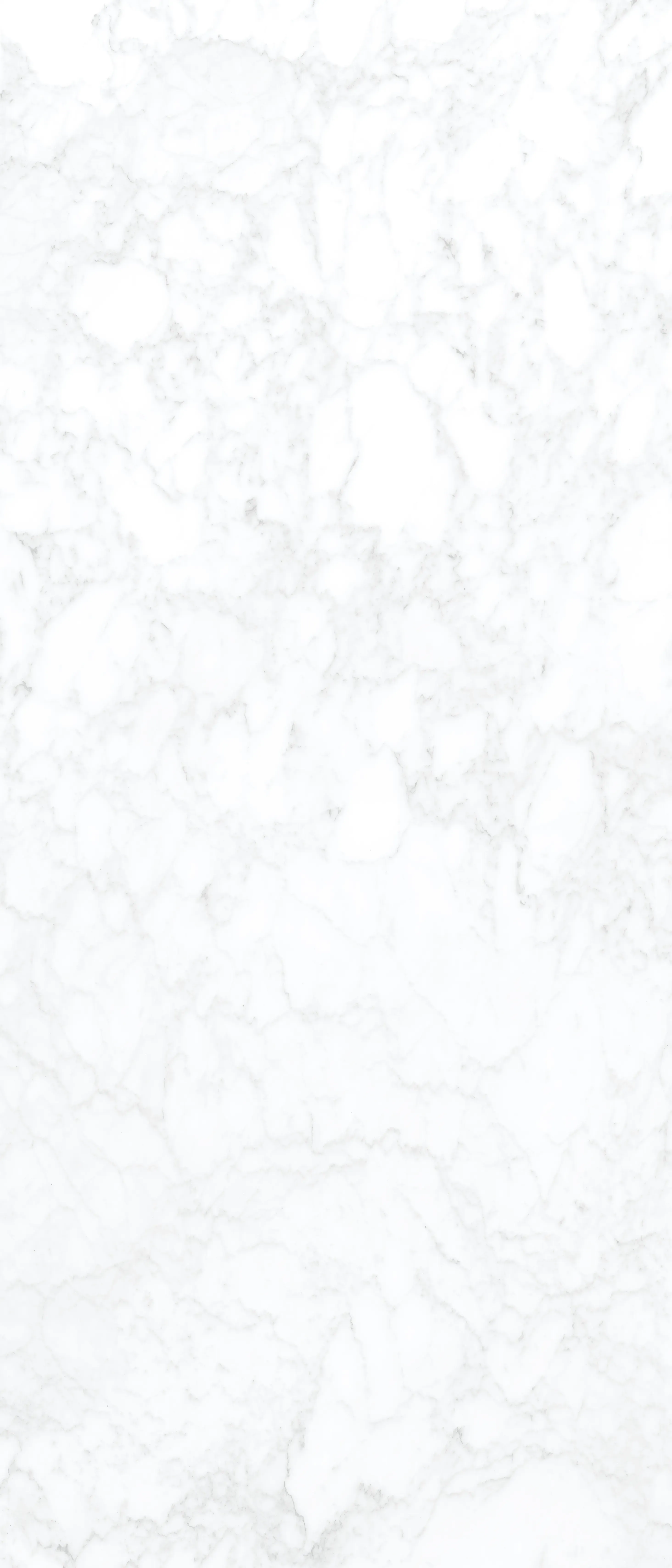 Adagio White, Slab, Rectangle, 48×110, Polished