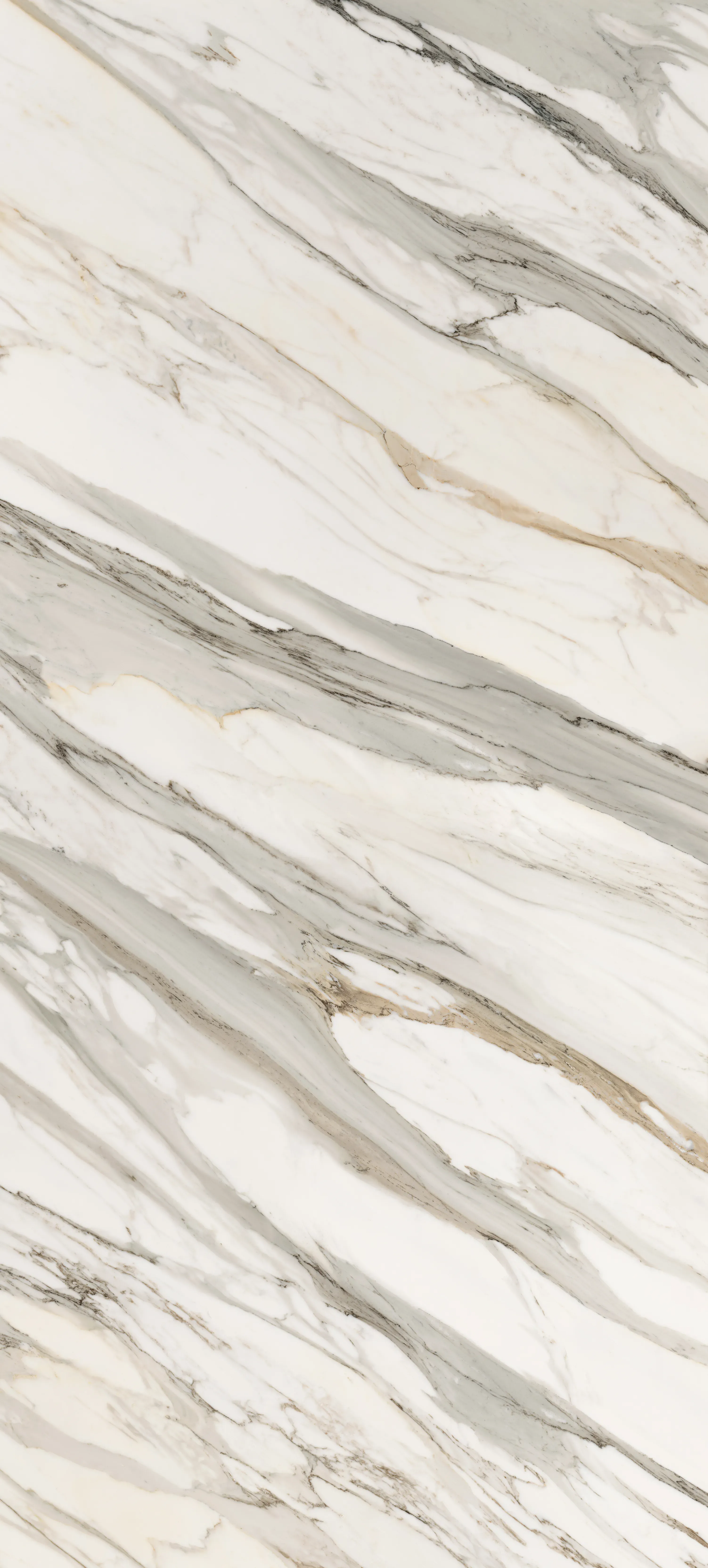Aria Gold, Slab, Rectangle, 48×110, Polished
