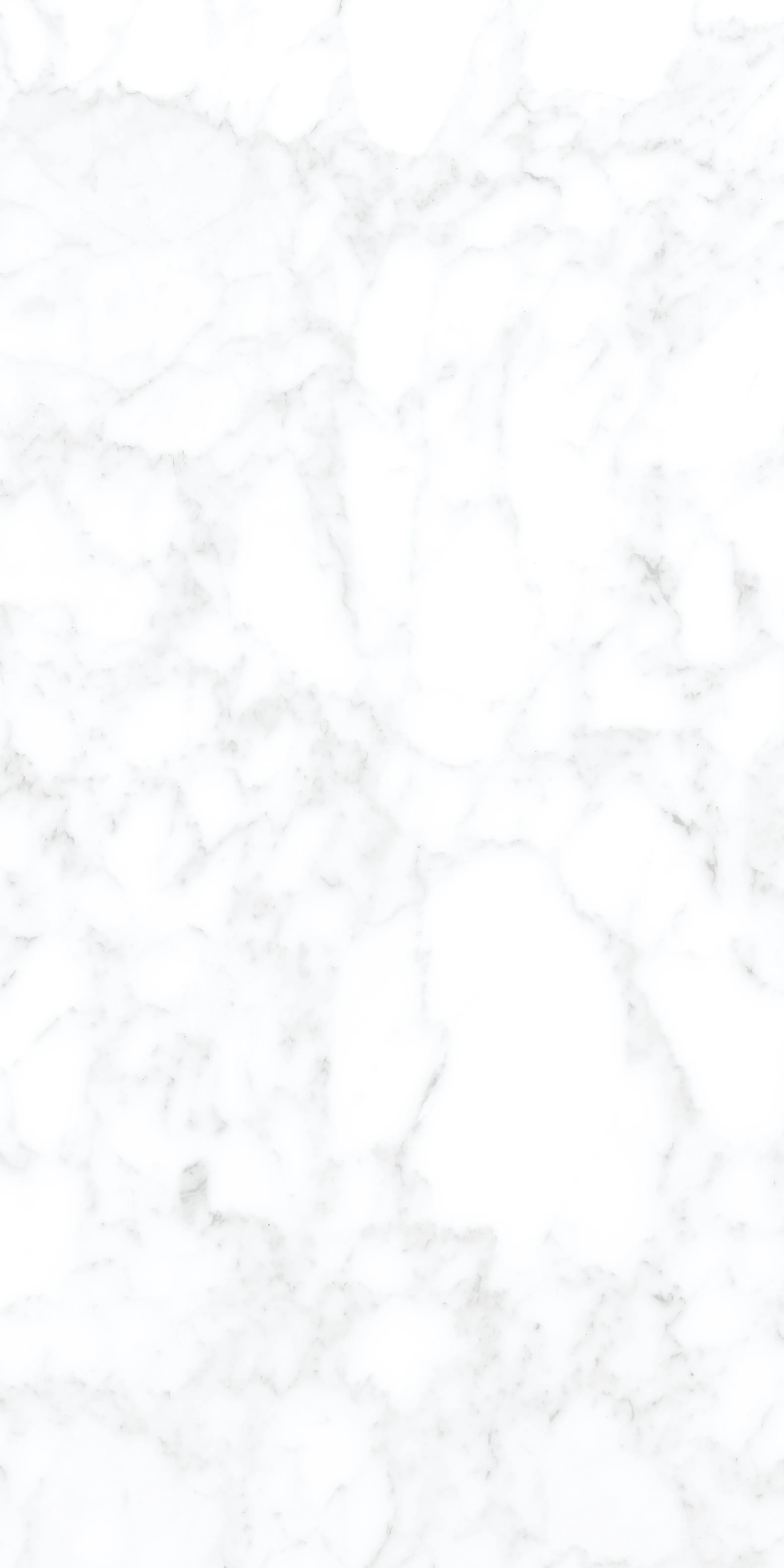 Adagio White, Field tile, Rectangle, 24×48, Matte
