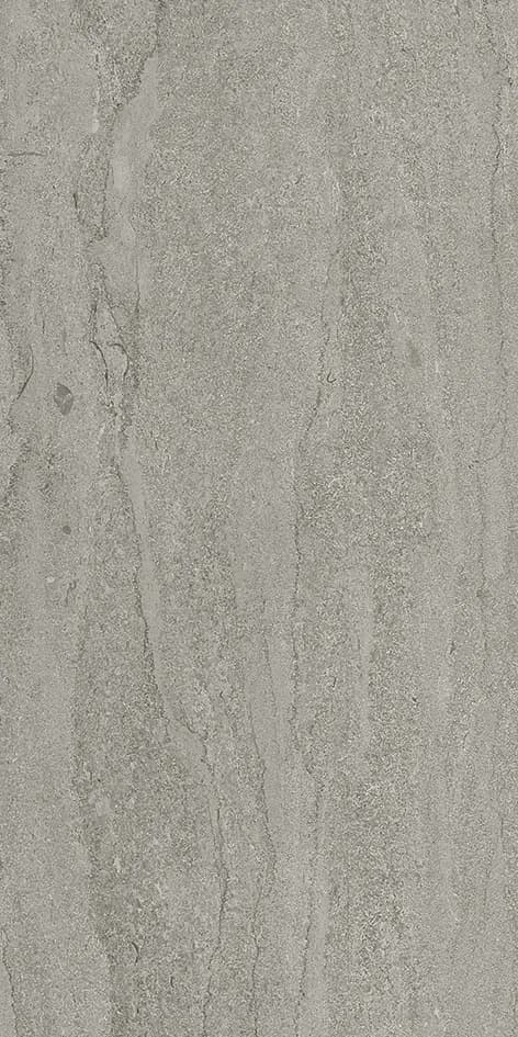Veincut Fossil, Field tile, Rectangle, 12×24, Matte