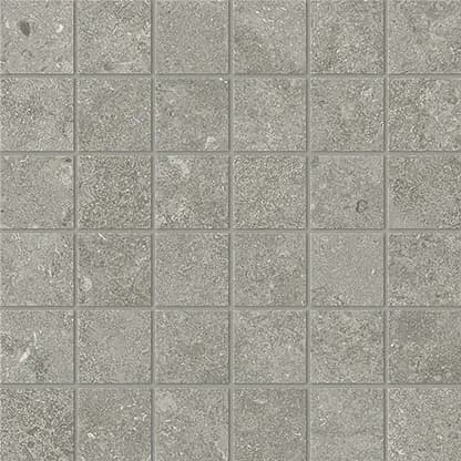 Crosscut Fossil, Mosaic, Square, 2x2 Mosaic, 12×12, Matte