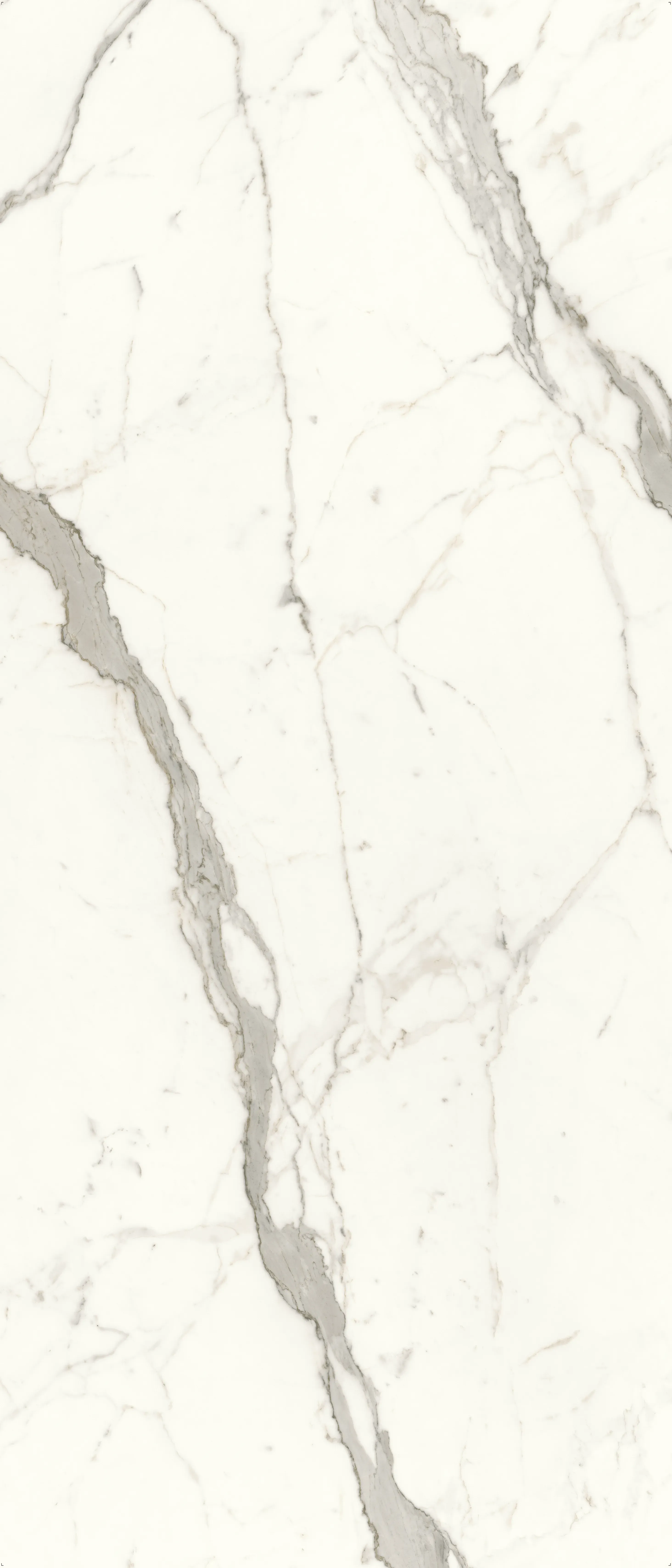 Capriccio Grey Bookmatched B, Slab, Rectangle, 48×110, Polished