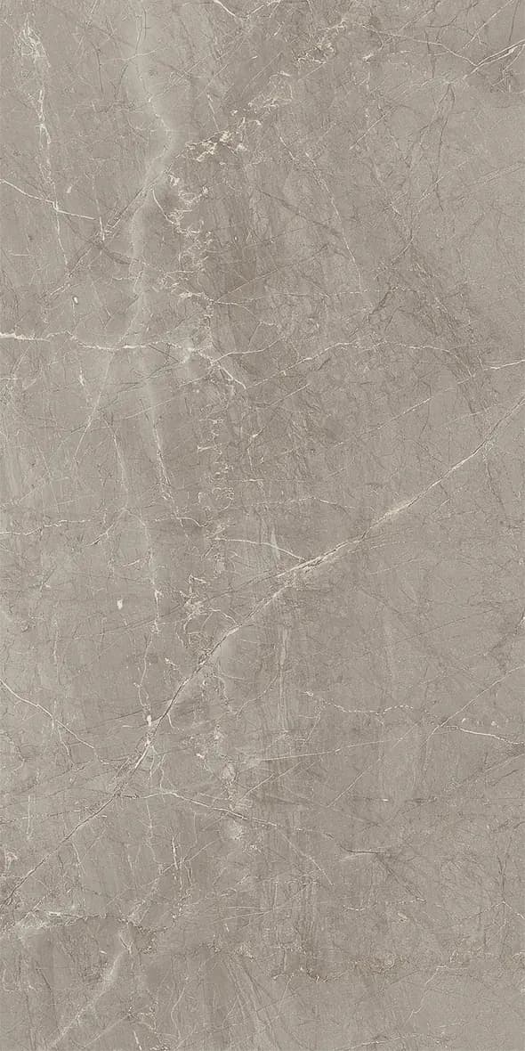 Grey, Field tile, Rectangle, 24×48, Polished