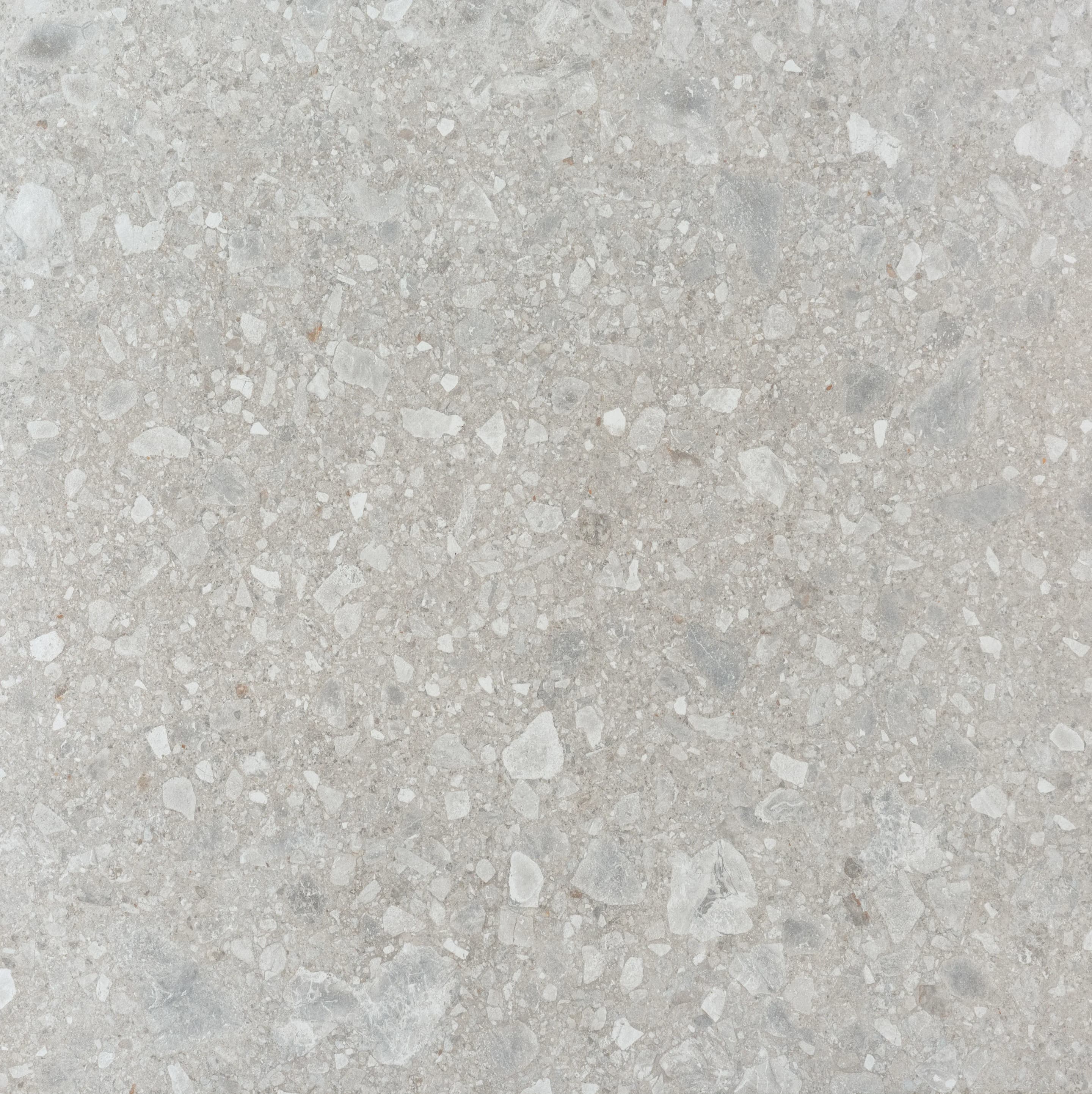 Cluster Light, Field tile, Rectangle, 12×24, Natural
