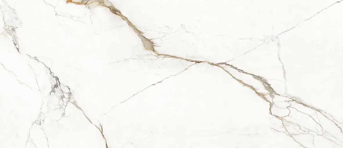 Paonazzetto, Slab, Rectangle, 48×110, Polished