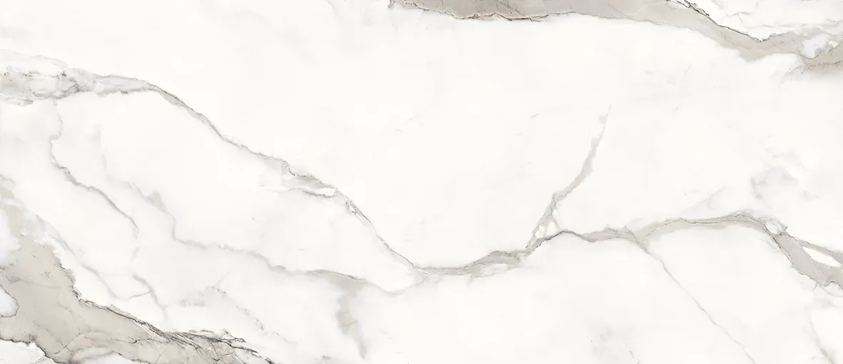 Calacatta Regale, Field tile, Rectangle, 24×48, Polished