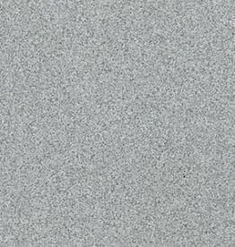 1651 Princess, Field tile, Rectangle, 12×24, Polished