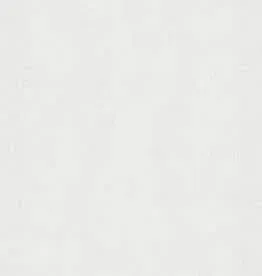 1652 All White, Field tile, Rectangle, 12×24, Polished