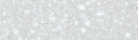 1657 Calle Grigia, Field tile, Rectangle, 12×24, Polished